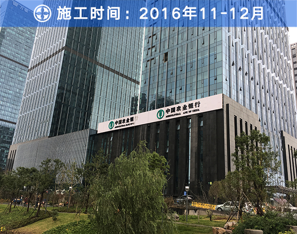 樹派除甲醛客戶案例